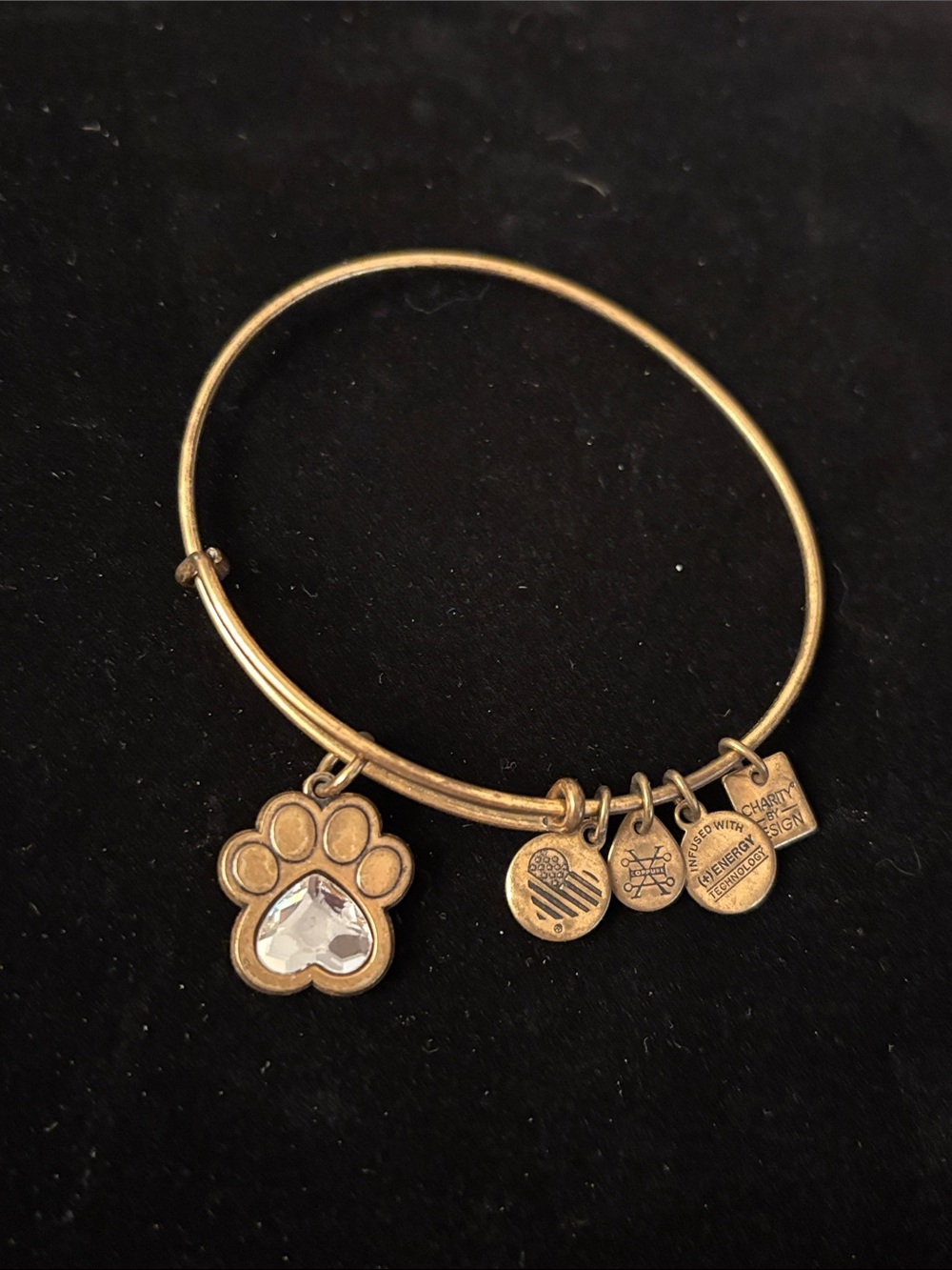 Alex and Ani Gold Bangle with Paw Charm